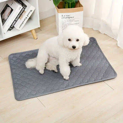 Pañales Lavables para Perros - Almohadillas Reutilizables Impermeables - Image 17
