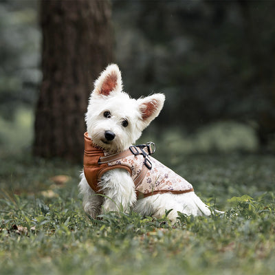 Abrigo Térmico para Perros - Chaleco Acolchado Invierno