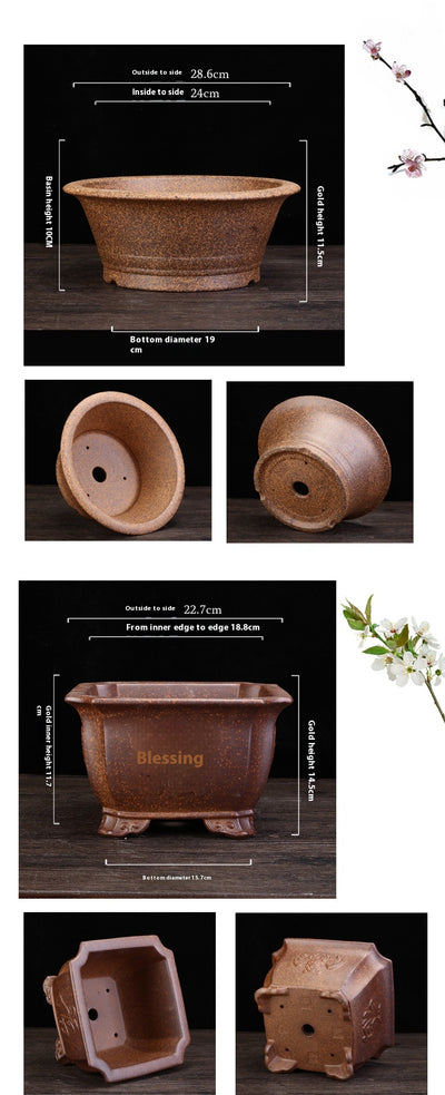 Maceta de Cerámica Refractaria para Orquídeas, Clivias y Plantas Verdes - Image 13