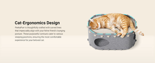 Casa Cueva para Gatos con Túnel Plegable y Resistente a Arañazos - Image 21