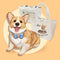 Bolsa de Lona Personalizada para Mascotas 100% Algodón