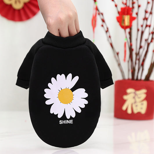 Ropa para Mascotas con Maquillaje de Ópera Pekinesa - Año Nuevo - Image 4