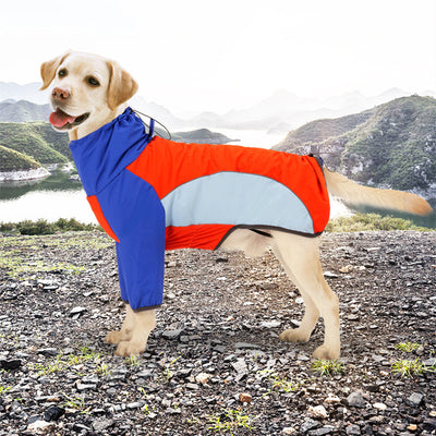 Chaqueta Impermeable Térmica para Perros