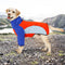 Chaqueta Impermeable Térmica para Perros