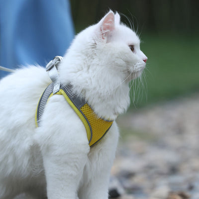 Arnés de Seguridad para Gatos con Correa Antiescapes - Image 11