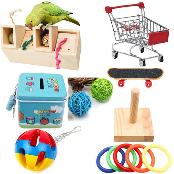 Wooden bird puzzle training toy set with a treat box, mini skateboard, and colorful ring toss game.