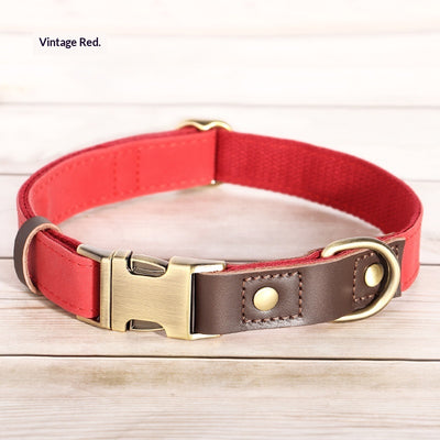 Collar Ajustable para Perros Medianos - Paseos Seguros y Cómodos - Image 4