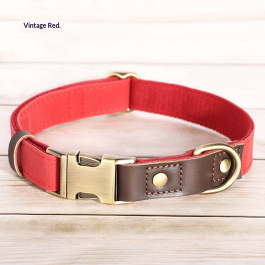 Collar Ajustable para Perros Medianos - Paseos Seguros y Cómodos - Image 4