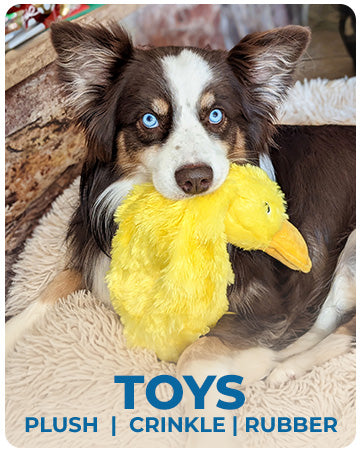 Juguetes para Perros Pato de Goma - Todas las Razas, Pequeños a Grandes - Image 2