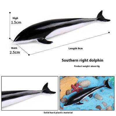 Juego Educativo de Animales Marinos Realistas para Niños - Image 57