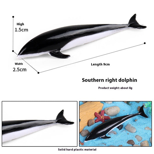Juego Educativo de Animales Marinos Realistas para Niños - Image 57