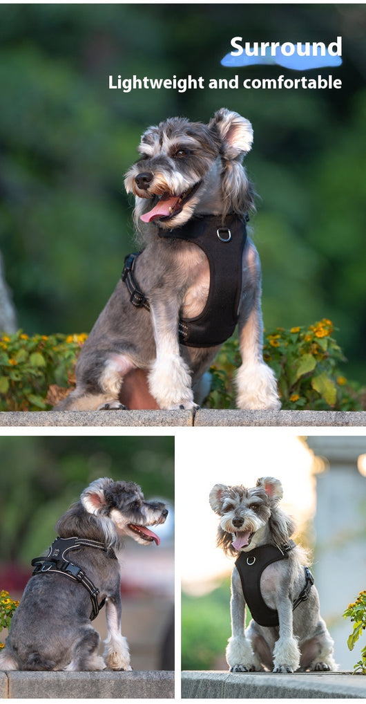 Arnés Reflectante para Perro con Correa de Seguridad Antitirón - Image 10