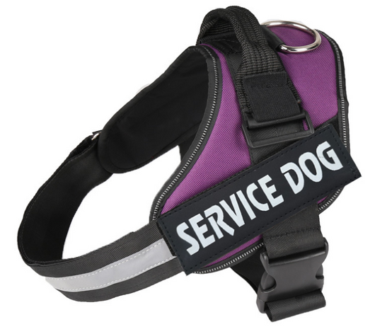 Arnés de Pecho para Perro con Cuerda de Tracción - Image 39