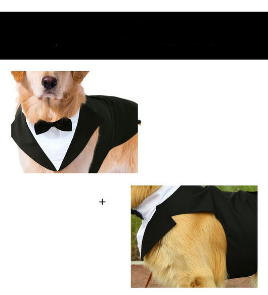 Traje Elegante con Pajarita para Perros - Image 14