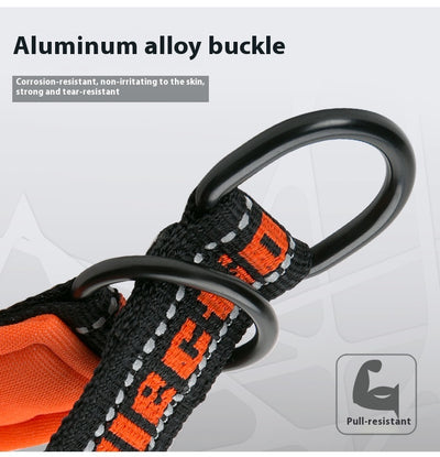 Collar Ajustable para Perro Truelove con Tela de Buceo Reflectante - Image 13