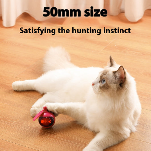 Rose red and black spherical cat toy with a grey pom-pom and suction cup base for self-play. - Image 4