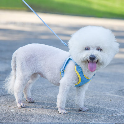 Arnés Ajustable para Perros y Correa Cómoda para Mascotas - Image 9
