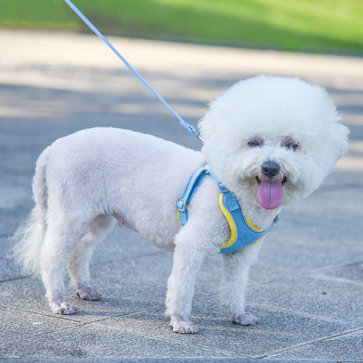 Arnés Ajustable para Perros y Correa Cómoda para Mascotas - Image 9
