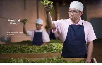Té Pu'er Da Yi - Pastel Tradicional Envejecido - Image 10