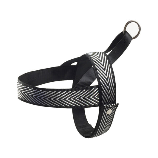Arnés de Pecho para Perros Pequeños - Diseño Deportivo para Exteriores - Image 22