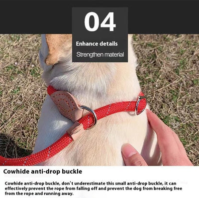 Cuerda de Entrenamiento para Pasear Perros con Agarre Manual - Image 22