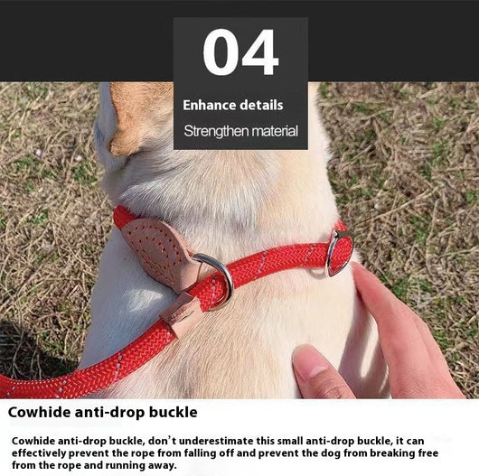 Cuerda de Entrenamiento para Pasear Perros con Agarre Manual - Image 22
