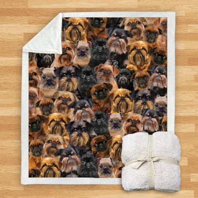 Manta Franela Estampada para Perros - Image 48