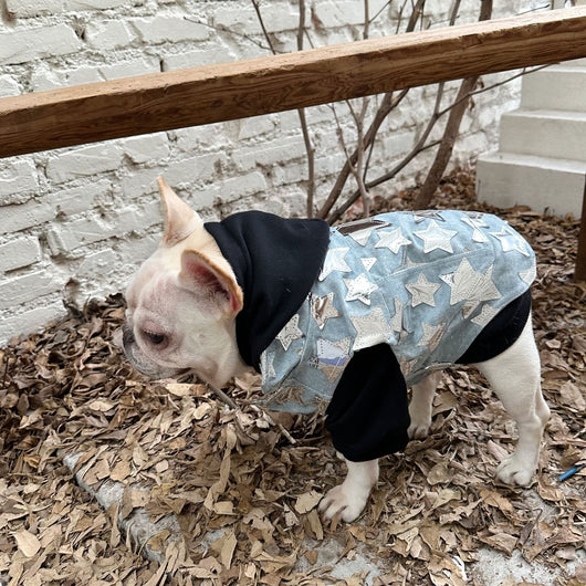 Chaleco Denim Fresco para Mascotas - Perros y Gatos Verano - Image 27