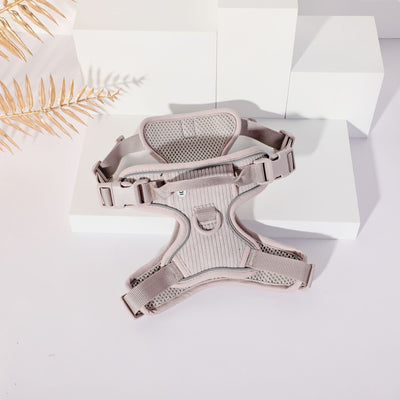 Arnés Gentleman Gris Pizarra en Pana - Collar y Pechera Premium para Mascotas - Image 8