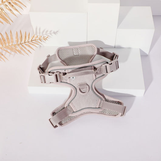 Arnés Gentleman Gris Pizarra en Pana - Collar y Pechera Premium para Mascotas - Image 8
