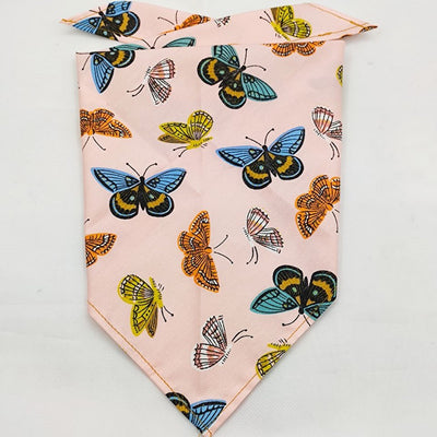 Pañuelo Bandana Absorbente para Mascotas con Diseño Frutal - Image 21