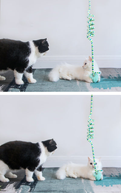 Juguete Interactivo para Gatitos con Campana, Pelota Inflable y Ventosa - Image 13