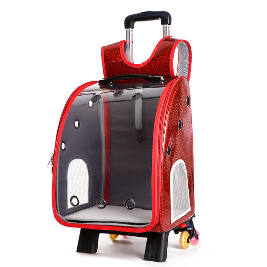 Mochila Transportadora Transparente Plegable para Perros Pequeños con Bolsillo Pañales - Image 2