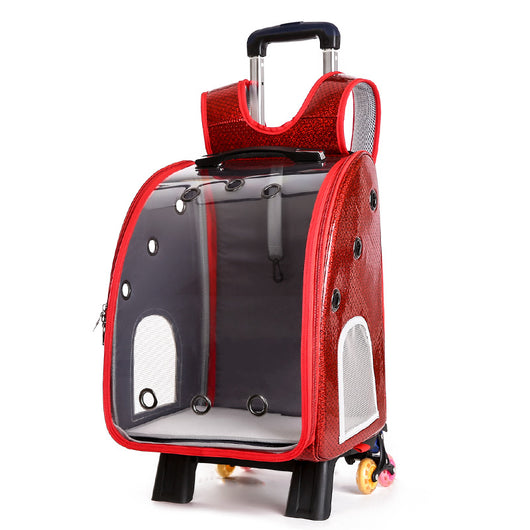 Mochila Transportadora Transparente Plegable para Perros Pequeños con Bolsillo Pañales - Image 2