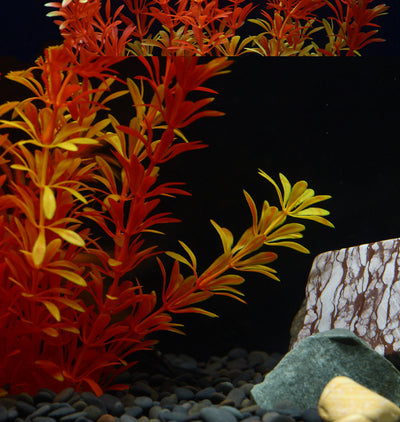 Paquete de Plantas Acuáticas Amarillas para Decoración de Acuarios - Image 6