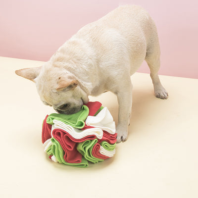 Pelota Olfativa de Peluche para Perros - Image 3