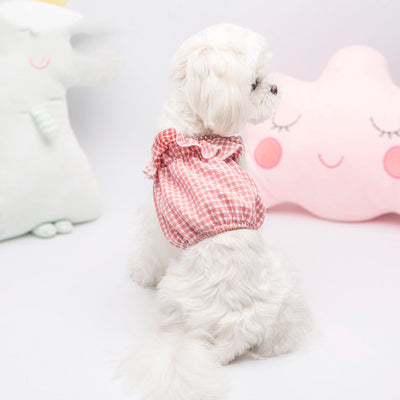 Ropa Transpirable para Gatos Otoño - Suéter Teddy Cómodo - Image 3