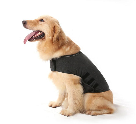 Ropa de Confort para Ansiedad en Perros - Image 5