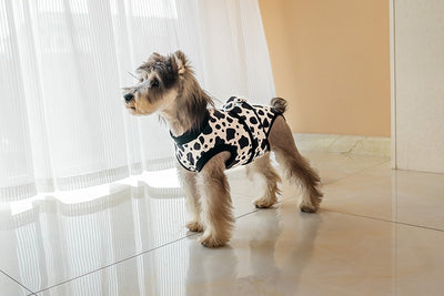 Ropa Quirúrgica Protectora para Mascotas - Anti-lamido Universal - Image 15