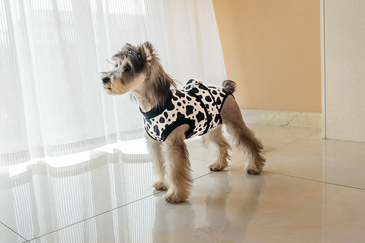 Ropa Quirúrgica Protectora para Mascotas - Anti-lamido Universal - Image 15