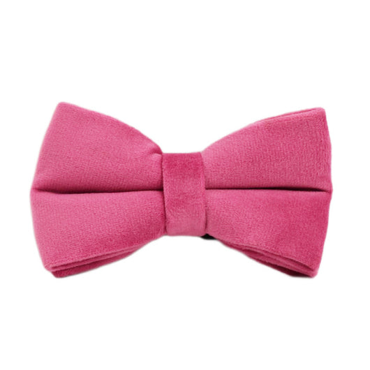 Collar de Perro Terciopelo - Comodidad y Estilo - Image 15