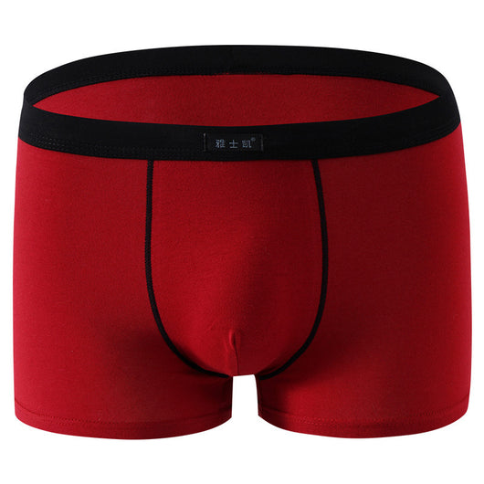 Shorts de Algodón Talla Grande Cómodos y Sensuales - Image 28