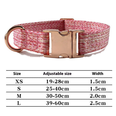 Correa para Perro con Grabado Personalizado y Collar Antiextravío - Image 3