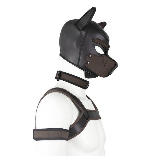 Conjunto Completo de Accesorios de Espuma para Perro - Diadema, Brazalete, Correa de Pecho y Pañuelo - Image 14