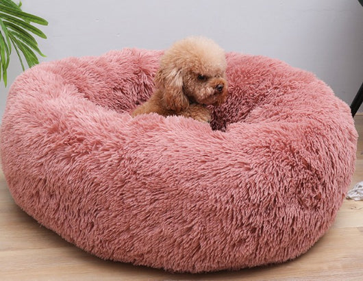 Arena de Gato Aglutinante Premium Suave para Gatos y Perros - Image 30