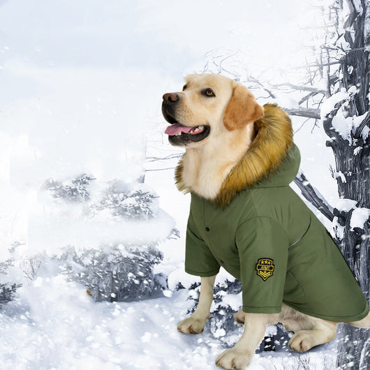 Abrigo Acolchado para Perros Grandes - Protección Otoño e Invierno - Image 6