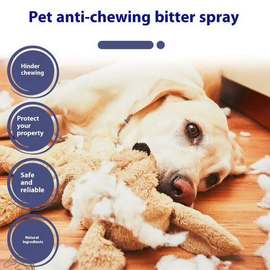 Spray Repelente Amargo para Perros - Protege Muebles y Sofás - Image 13