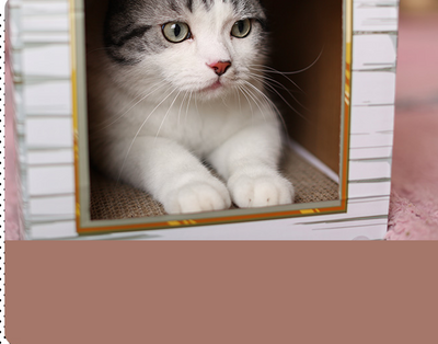 Casa Rascador para Gatos con Cartón Corrugado y Garras - Image 15