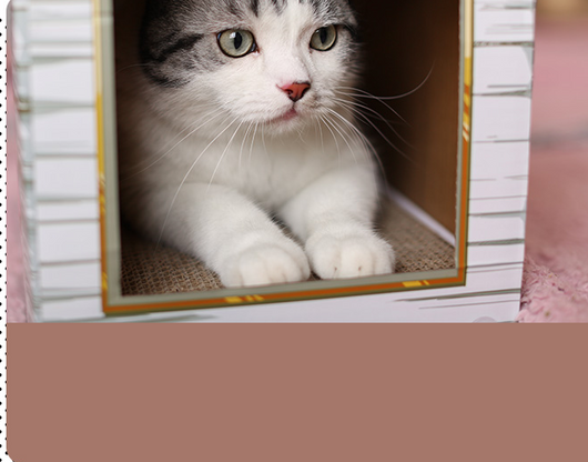 Casa Rascador para Gatos con Cartón Corrugado y Garras - Image 15