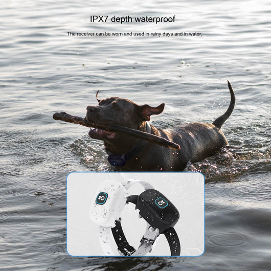 Collar Adiestramiento Canino Inalámbrico 2 en 1 - Control Remoto Antiladridos Impermeable